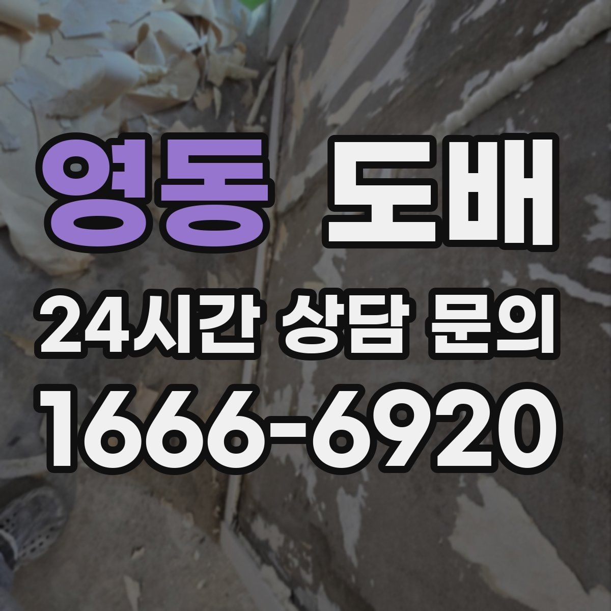 영동 도배 전문가 상담 전 준비하면 좋은 자료