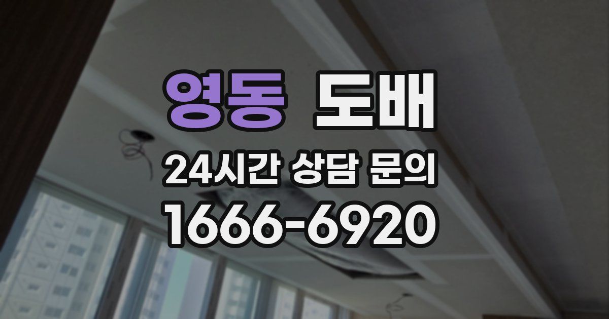 영동 도배