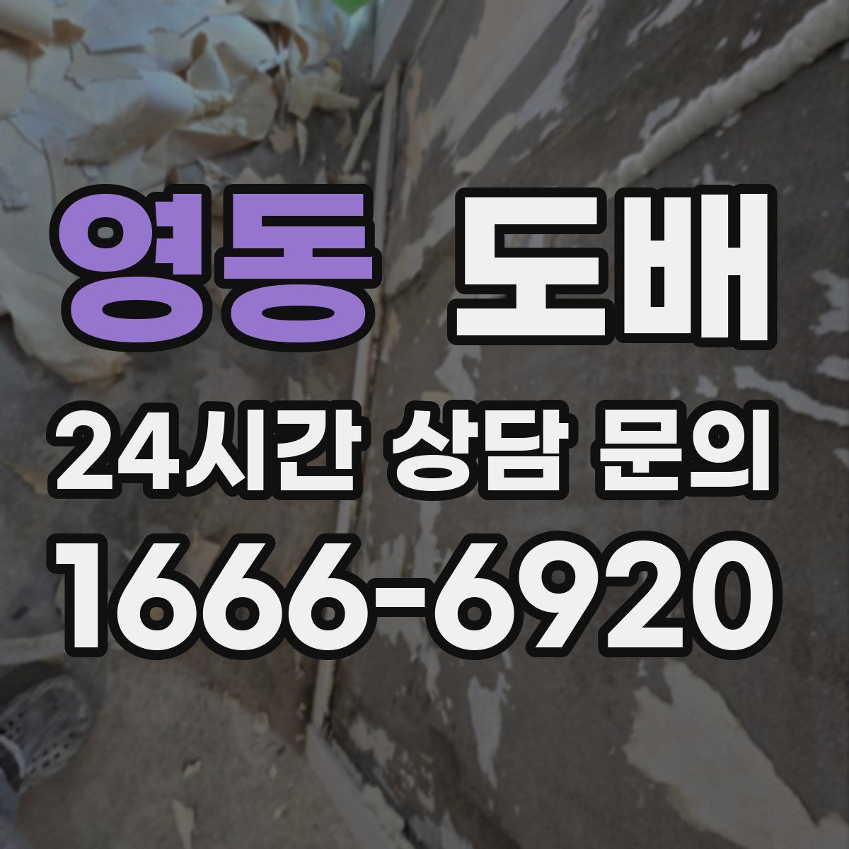 영동 도배