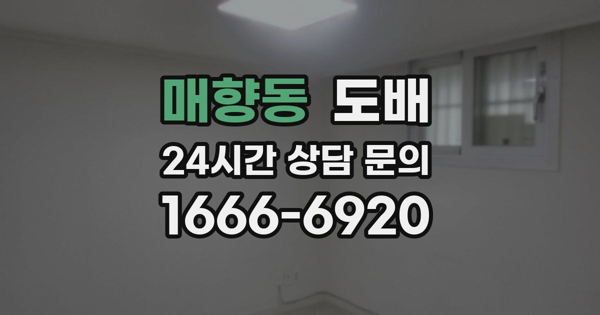 매향동 도배