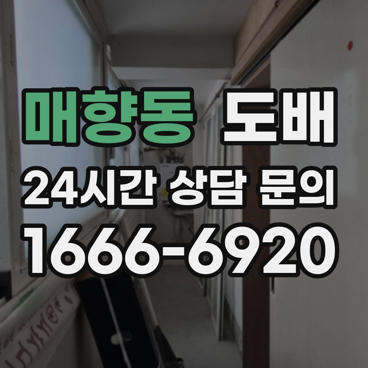 매향동 도배