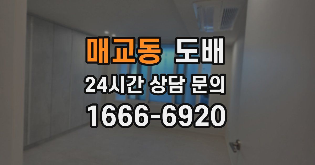 매교동 도배