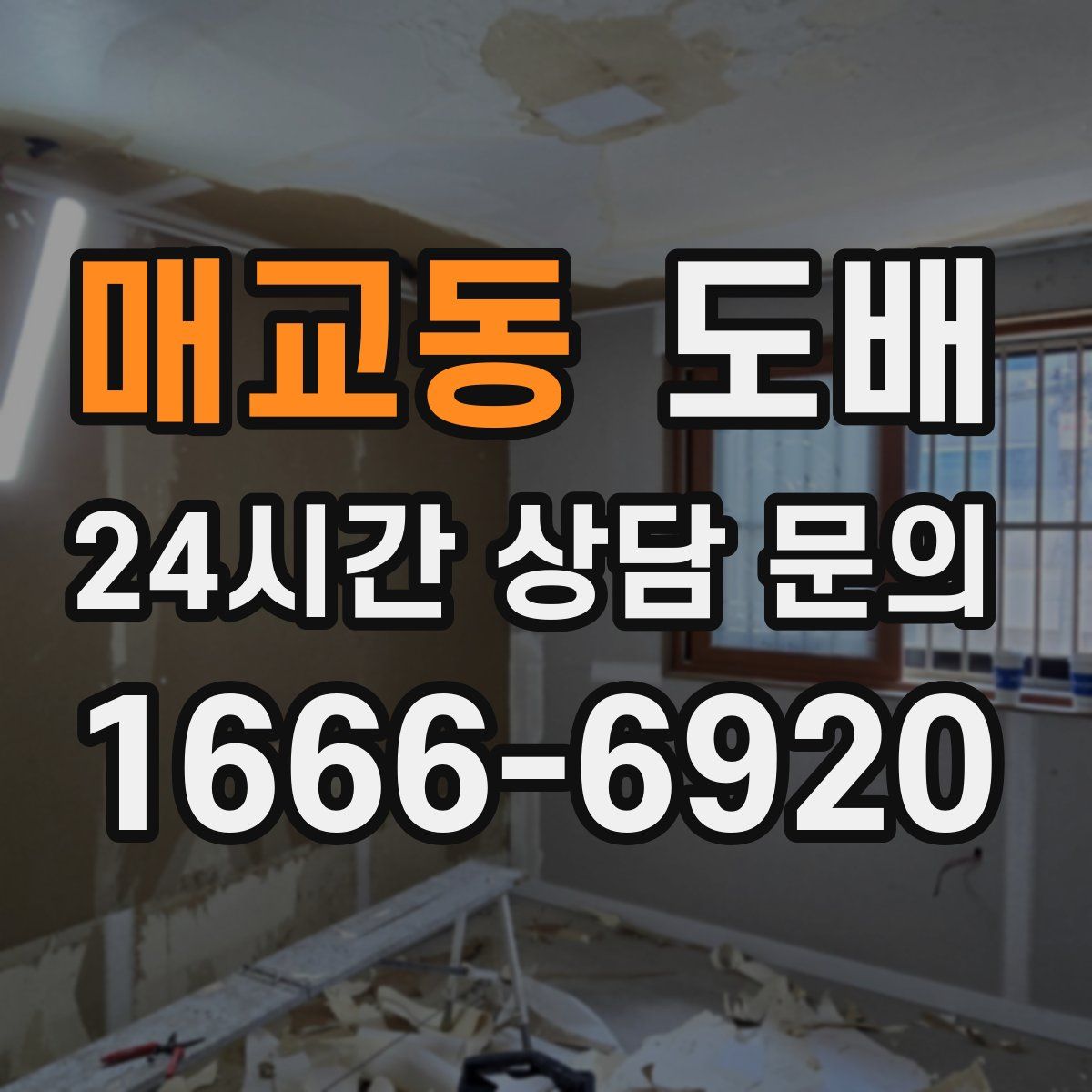 매교동 도배