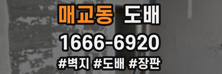 매교동 도배