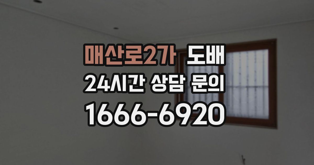 매산로2가 도배