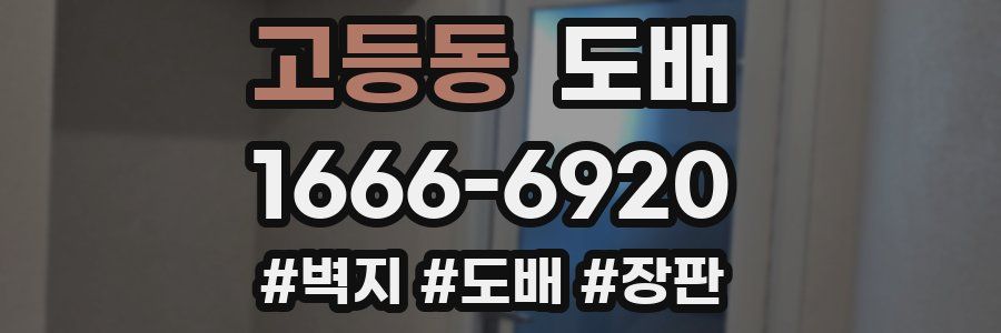 고등동 도배