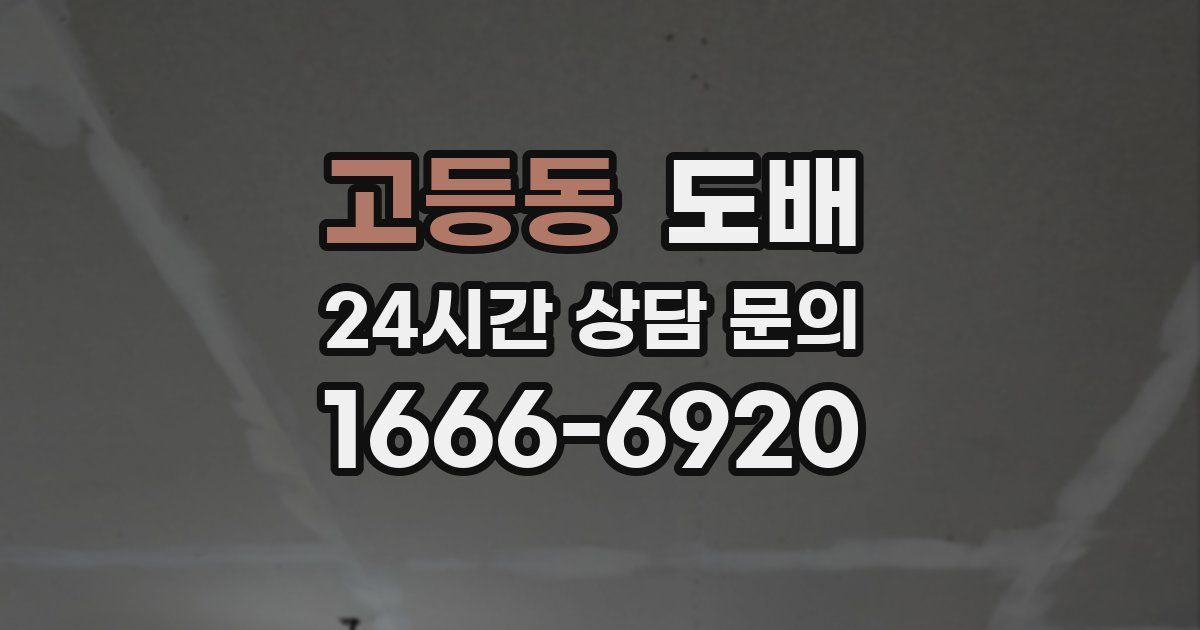 고등동 도배