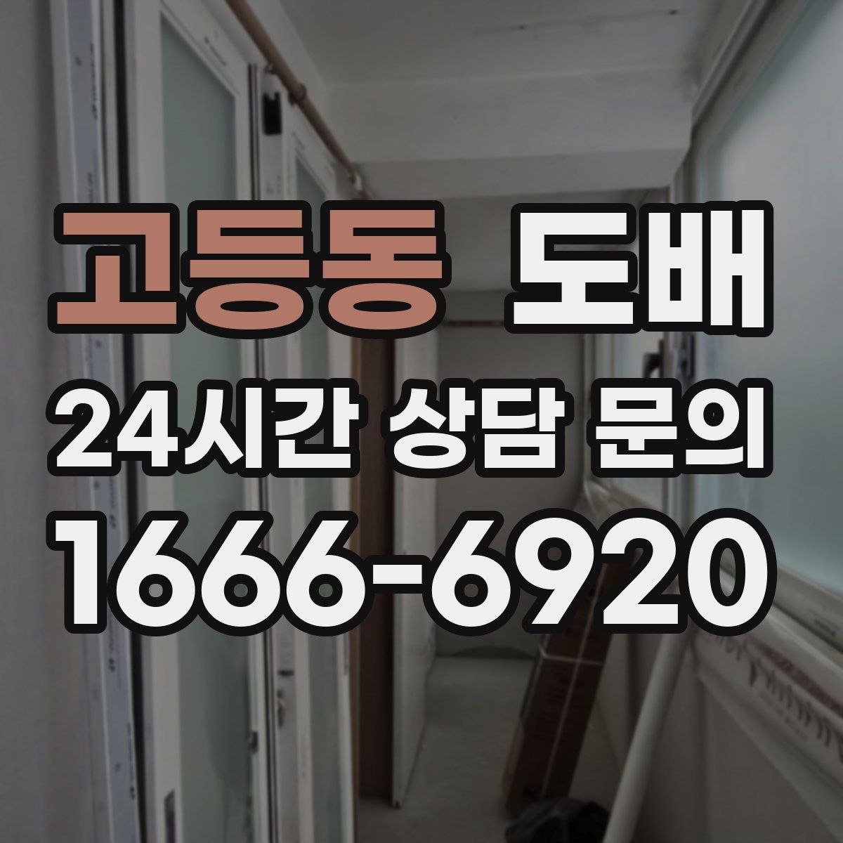 고등동 도배