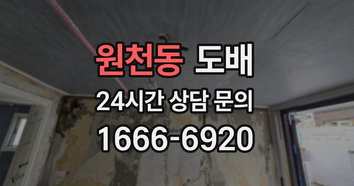 원천동 도배