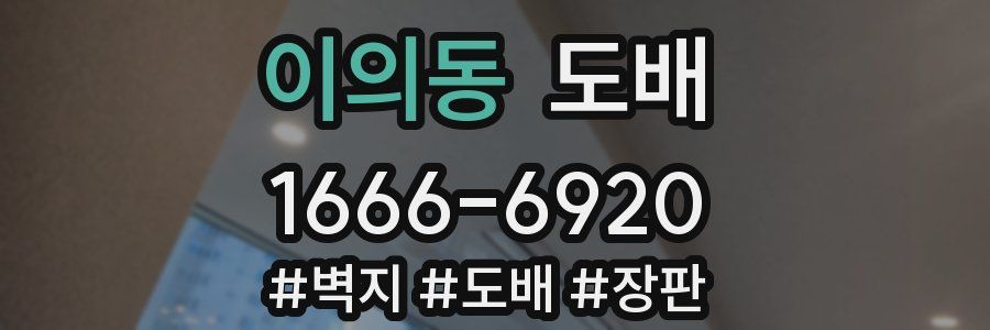 이의동 도배