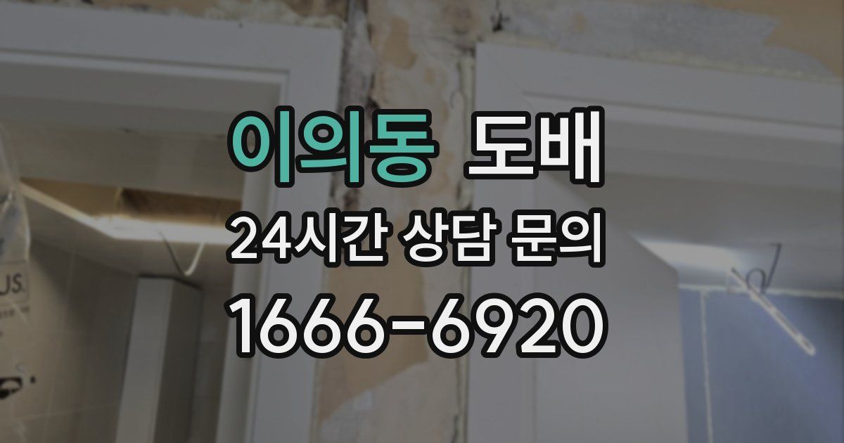 이의동 도배