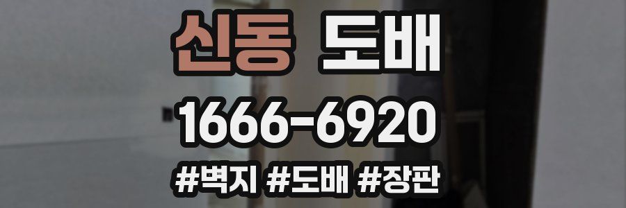 신동 도배