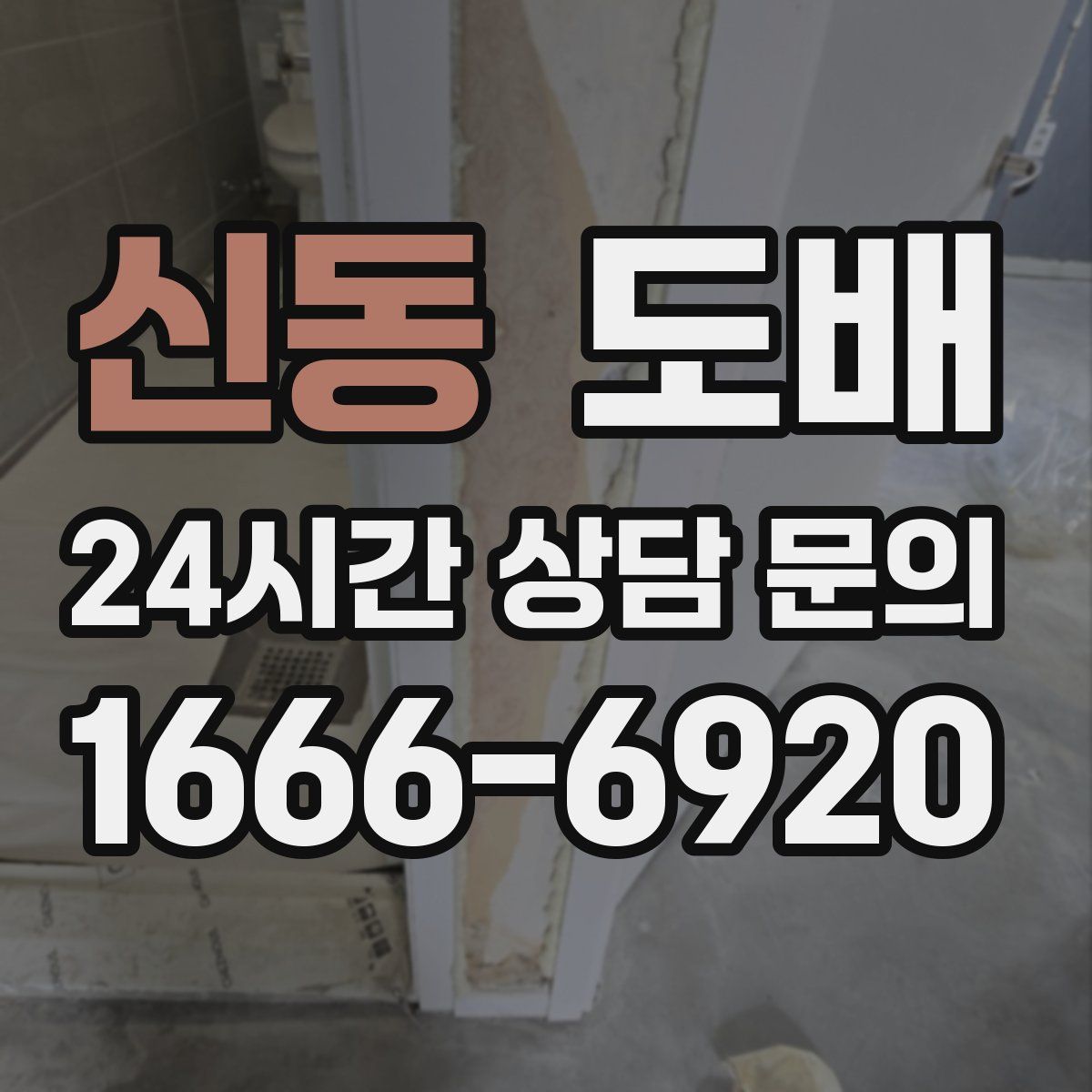 신동 도배