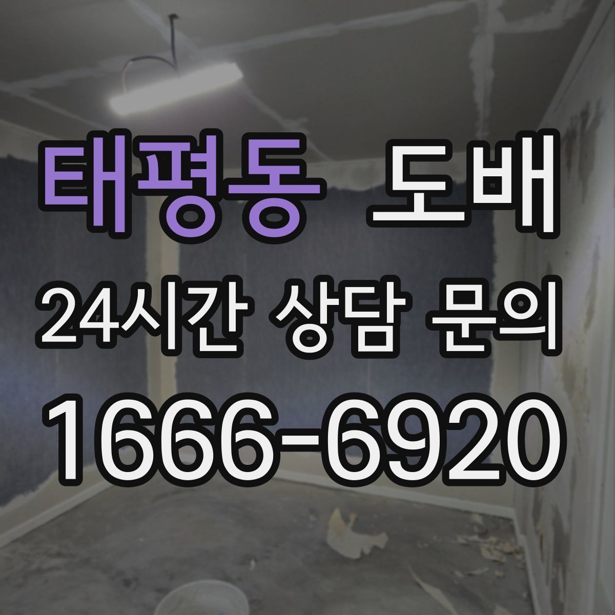 태평동 도배