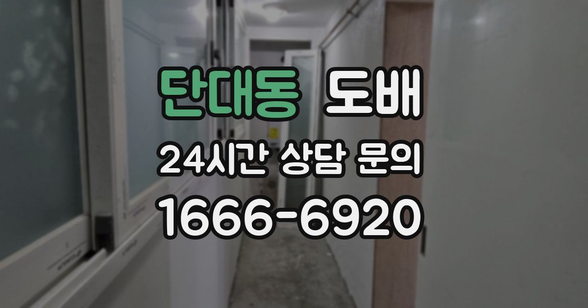 단대동 도배