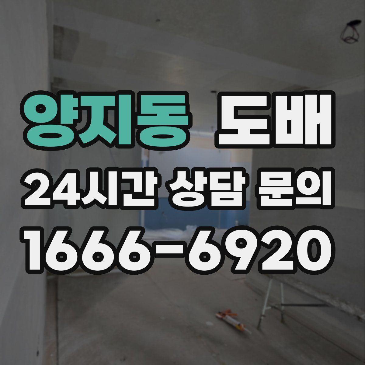 양지동 도배