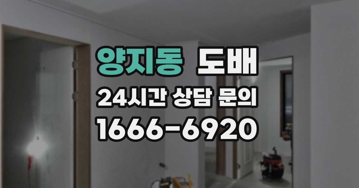 양지동 도배