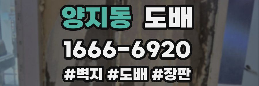 양지동 도배