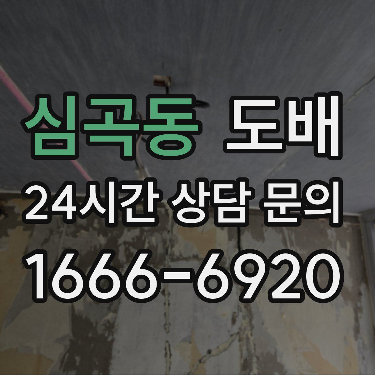 심곡동 도배