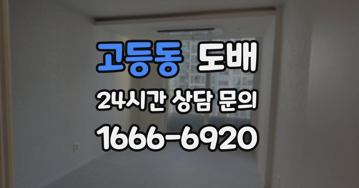 고등동 도배