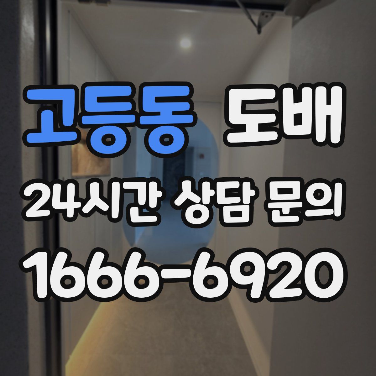 고등동 도배