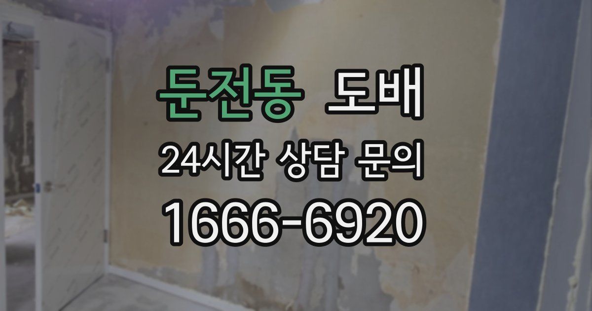 둔전동 도배