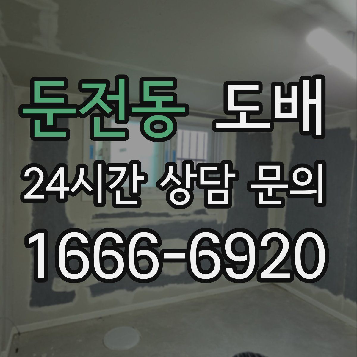 둔전동 도배
