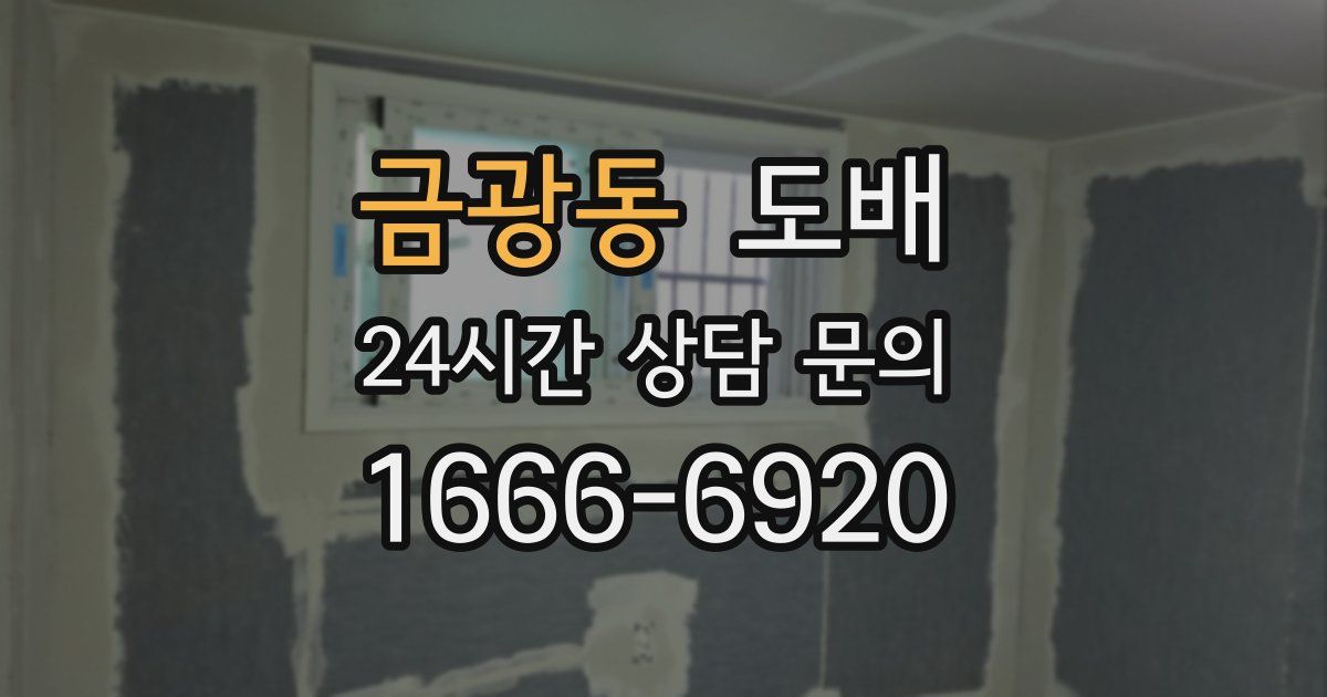 금광동 도배