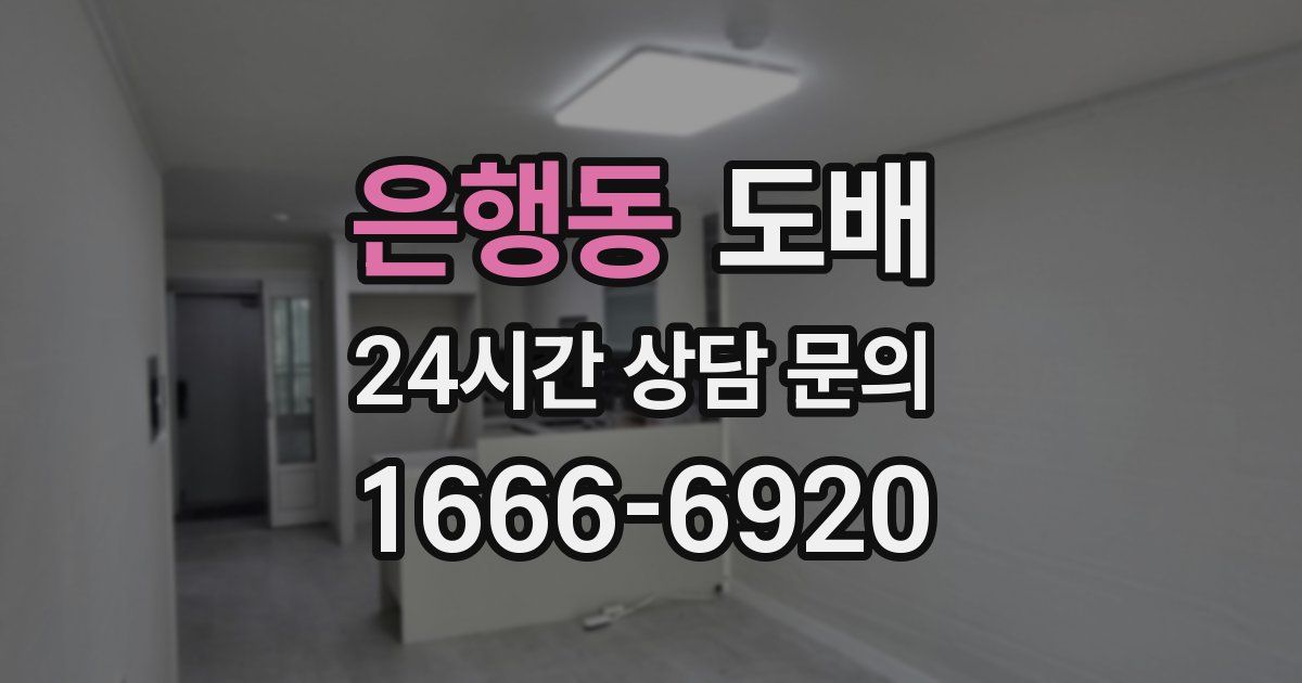은행동 도배