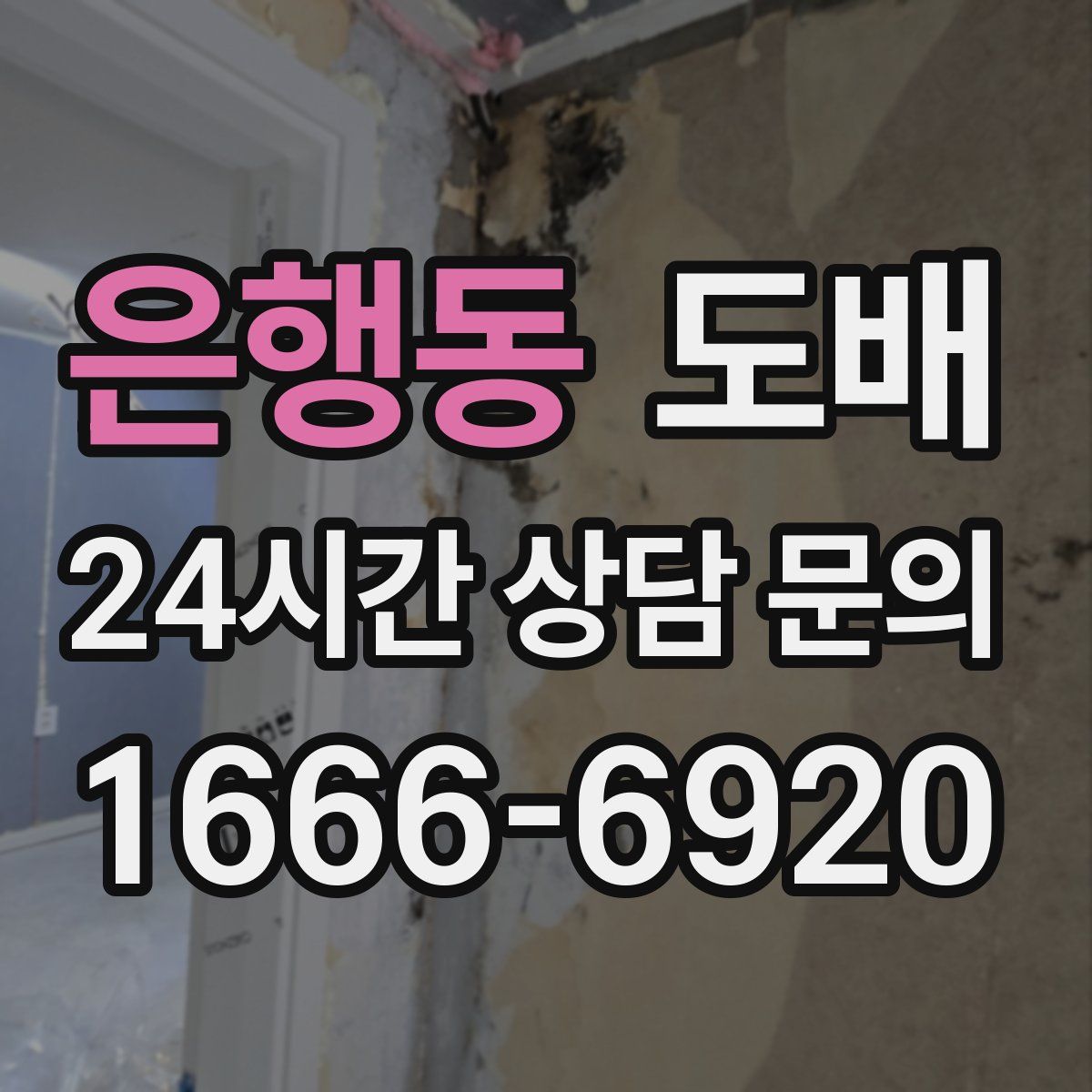 은행동 도배
