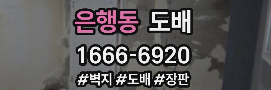 은행동 도배