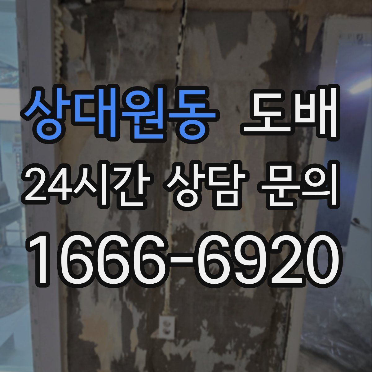 상대원동 도배