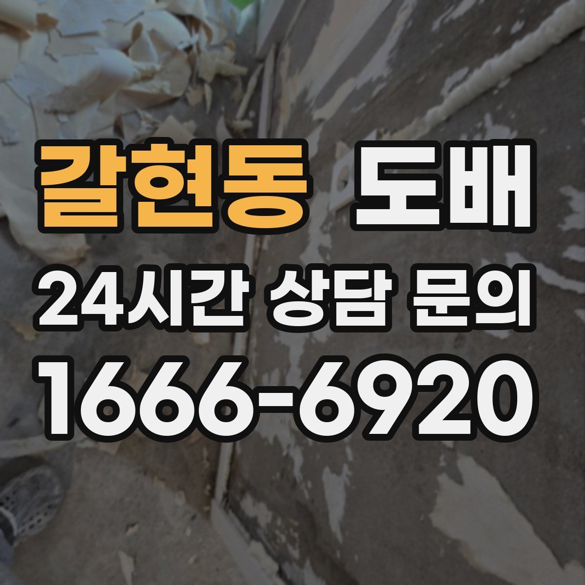 갈현동 도배