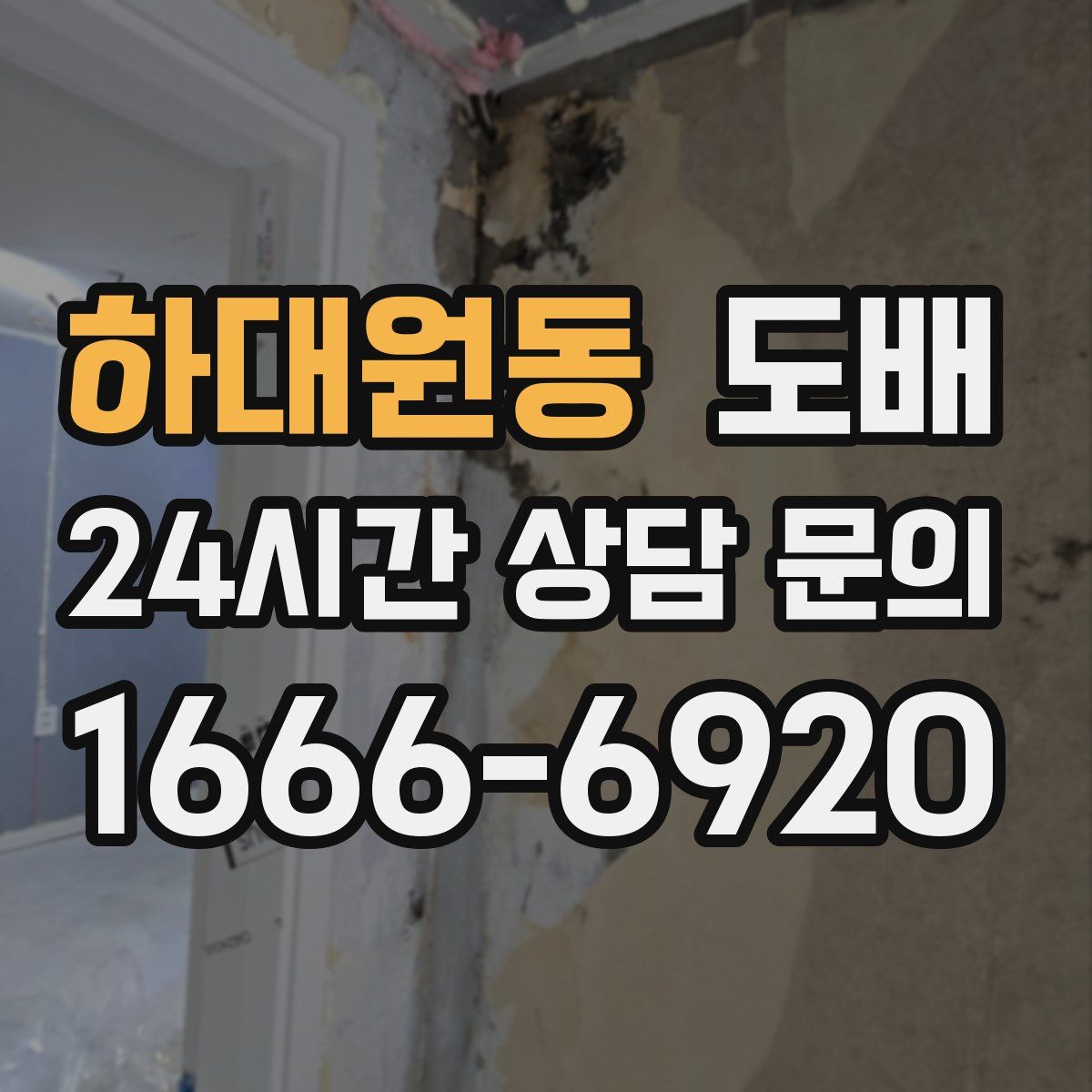 하대원동 도배