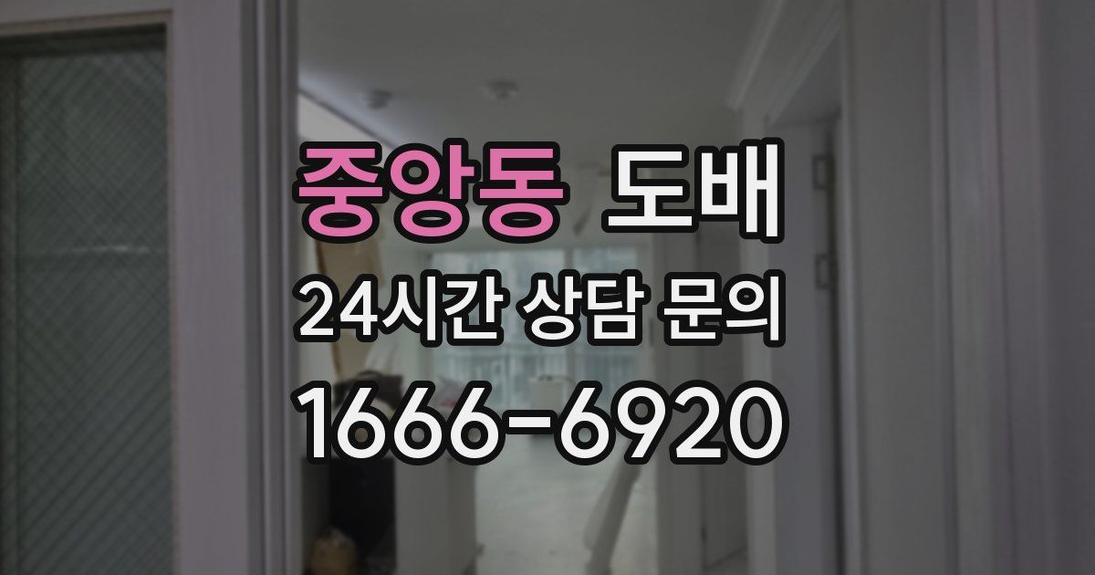 중앙동 도배