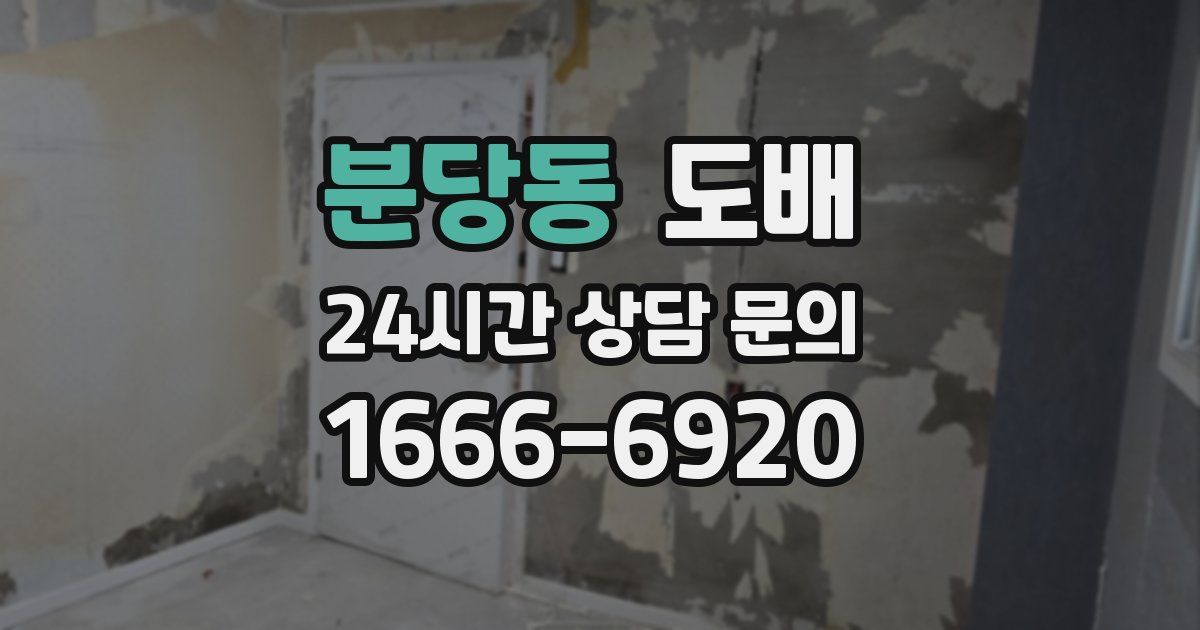 분당동 도배