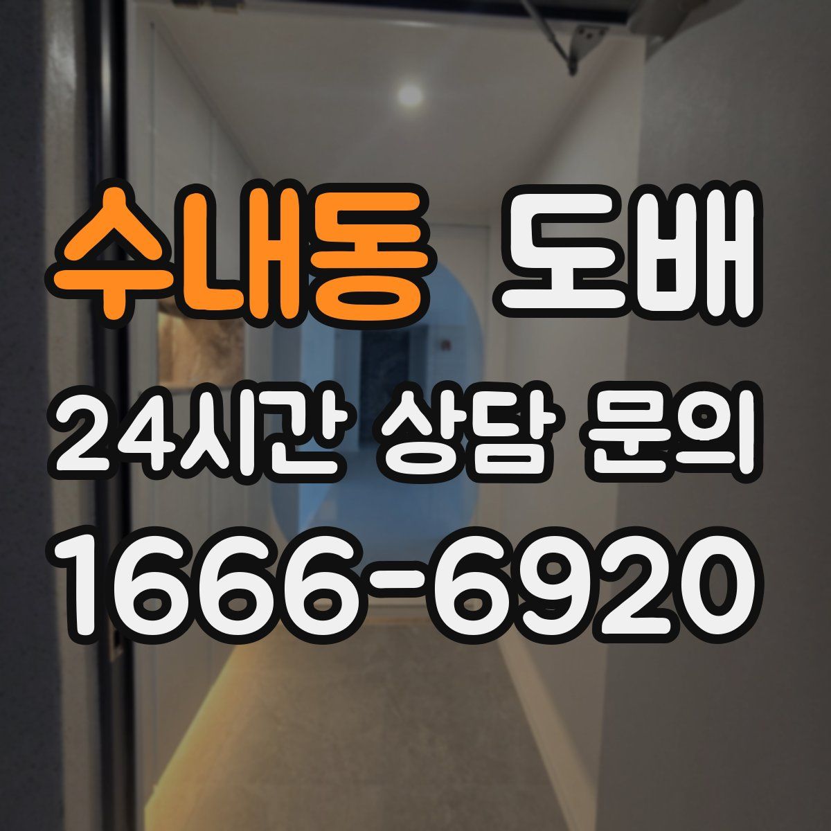수내동 도배