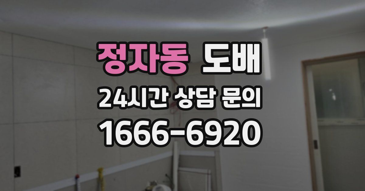 정자동 도배