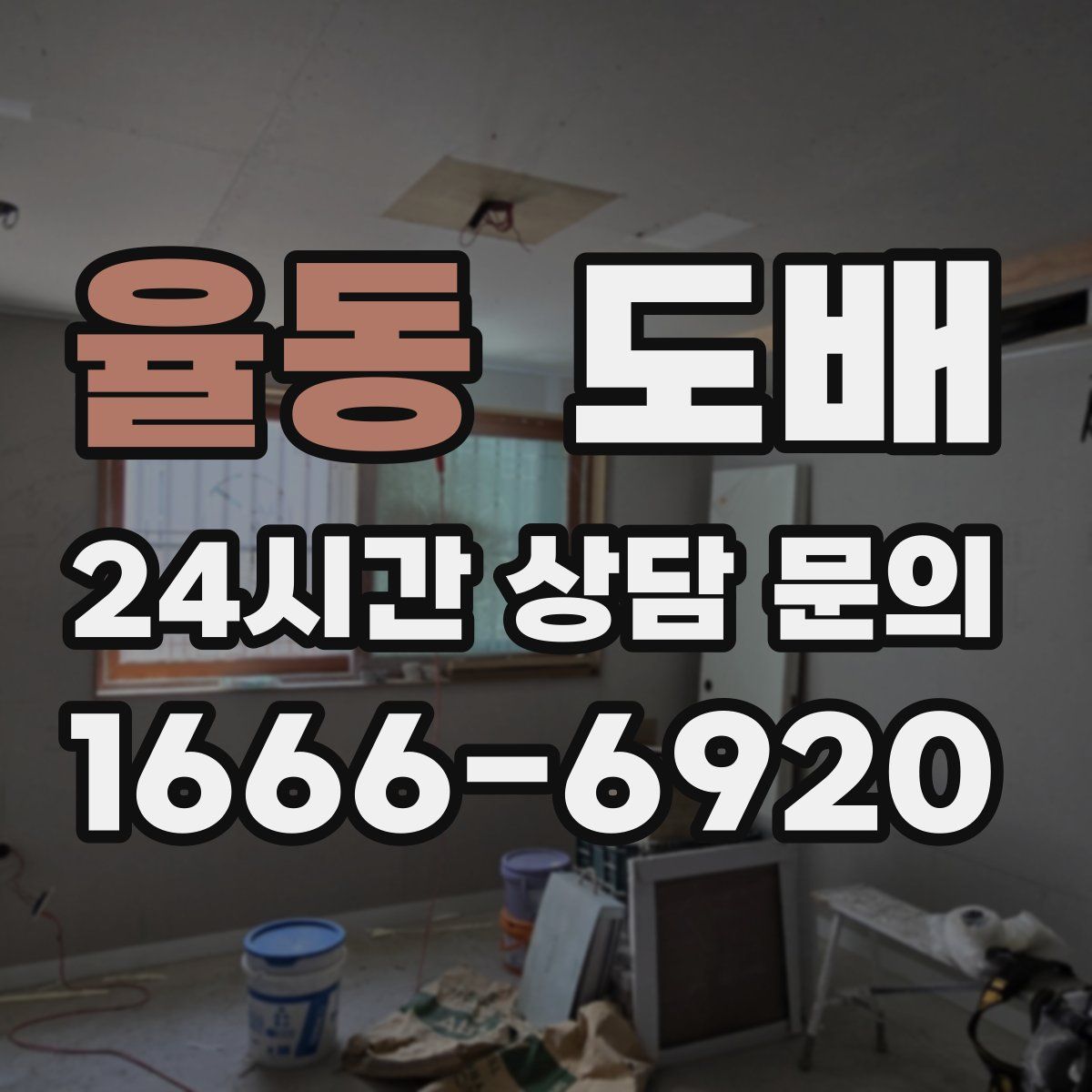 율동 도배