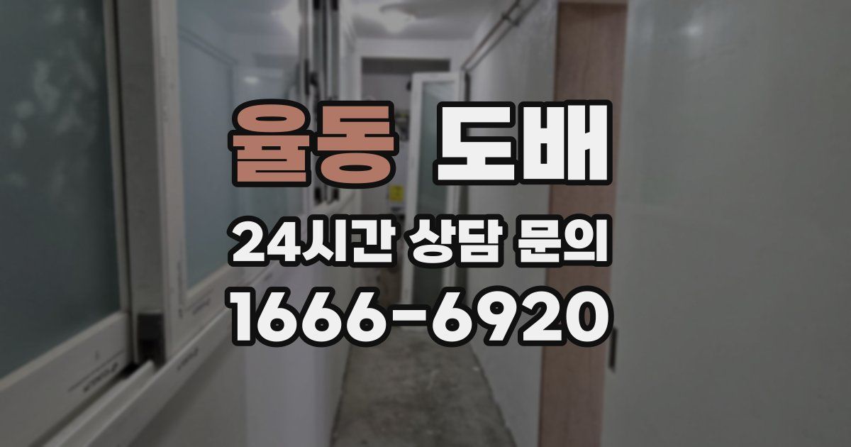 율동 도배