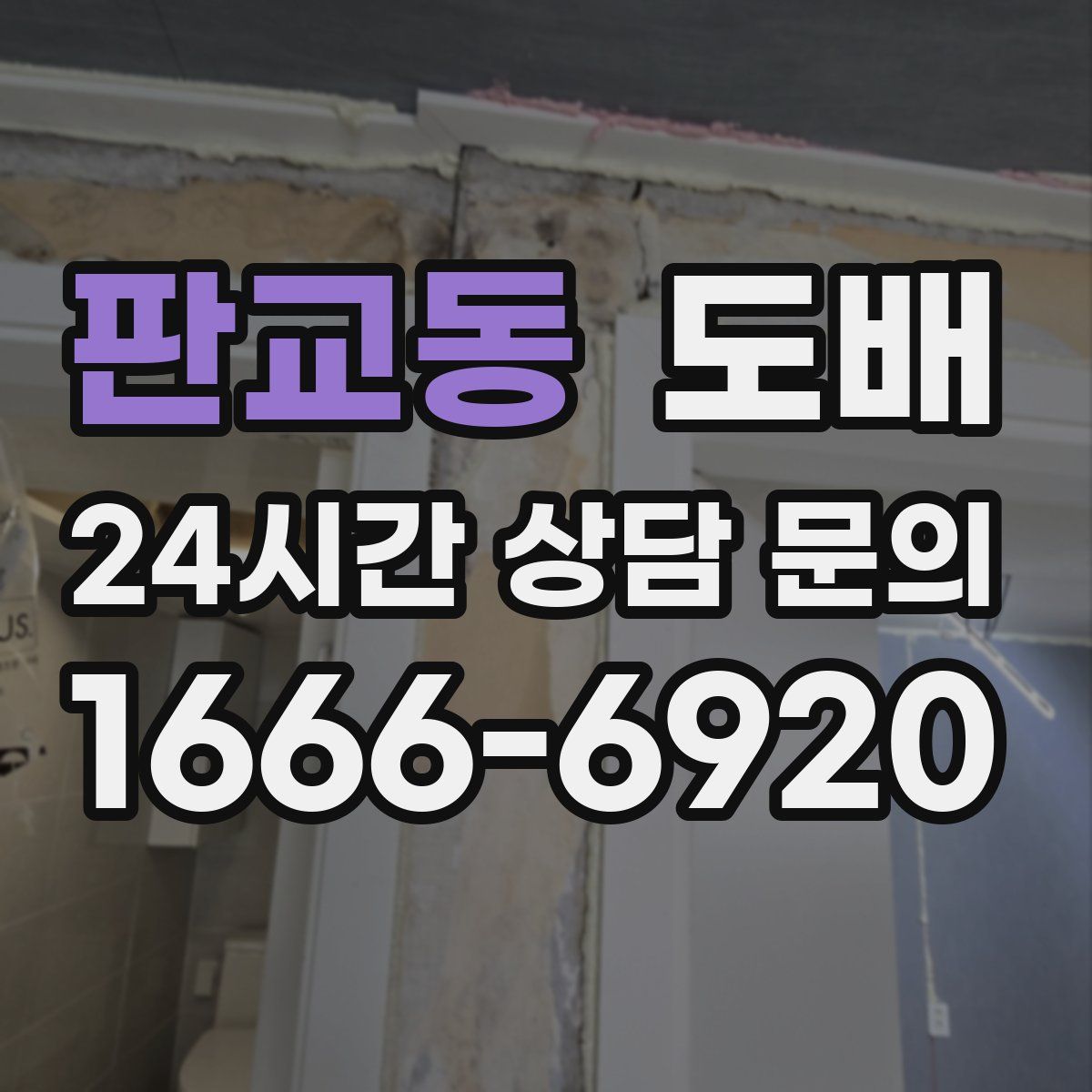 판교동 도배