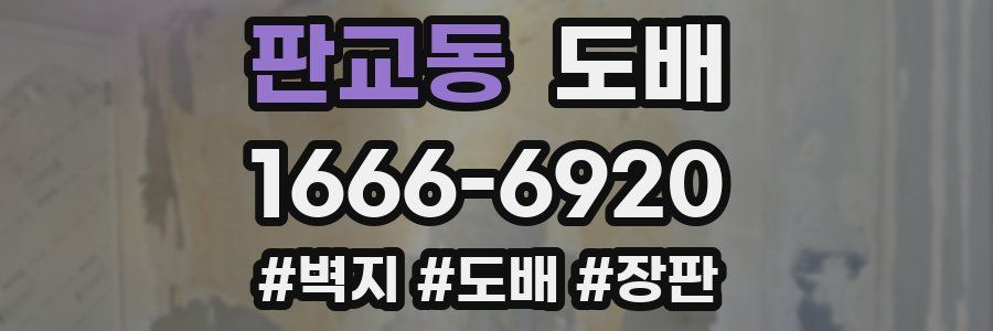 판교동 도배
