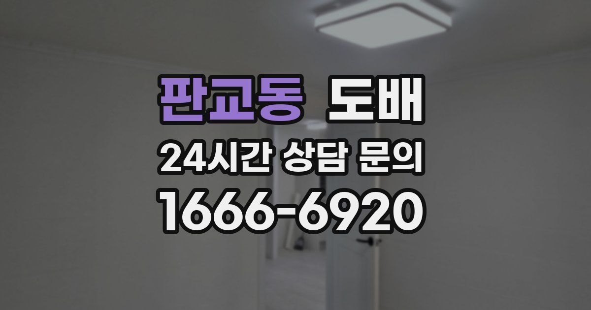 판교동 도배