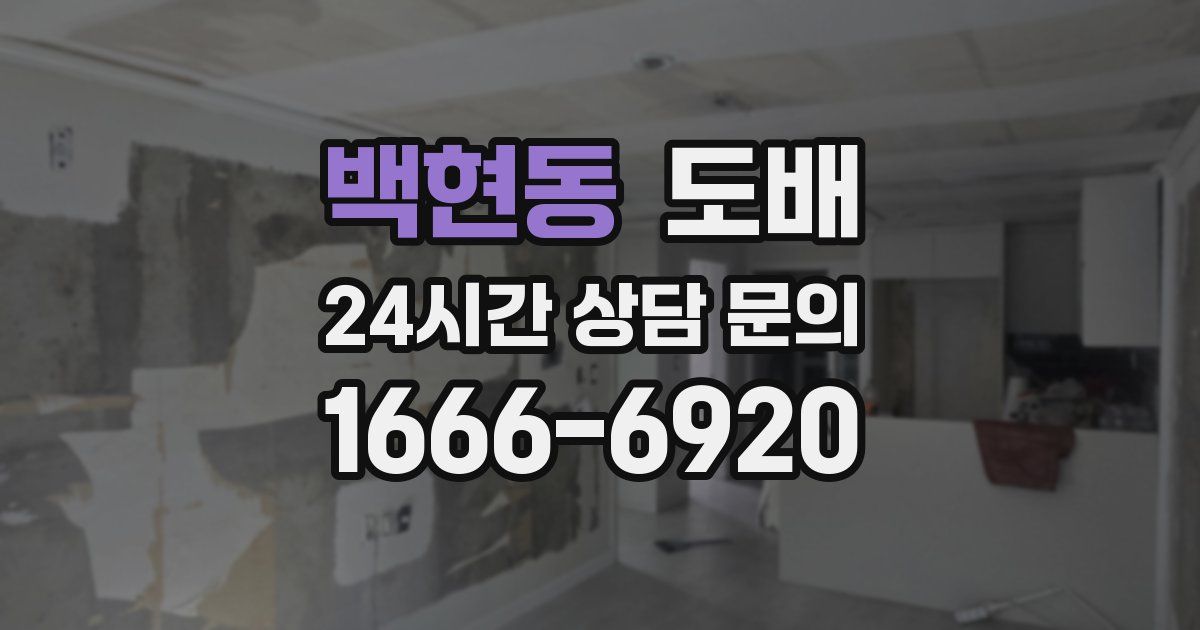 백현동 도배