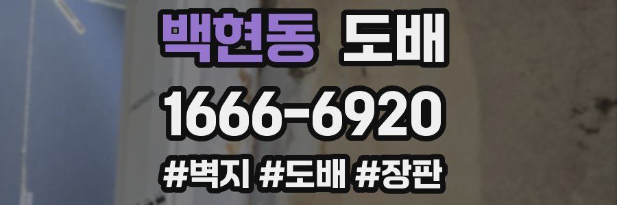 백현동 도배