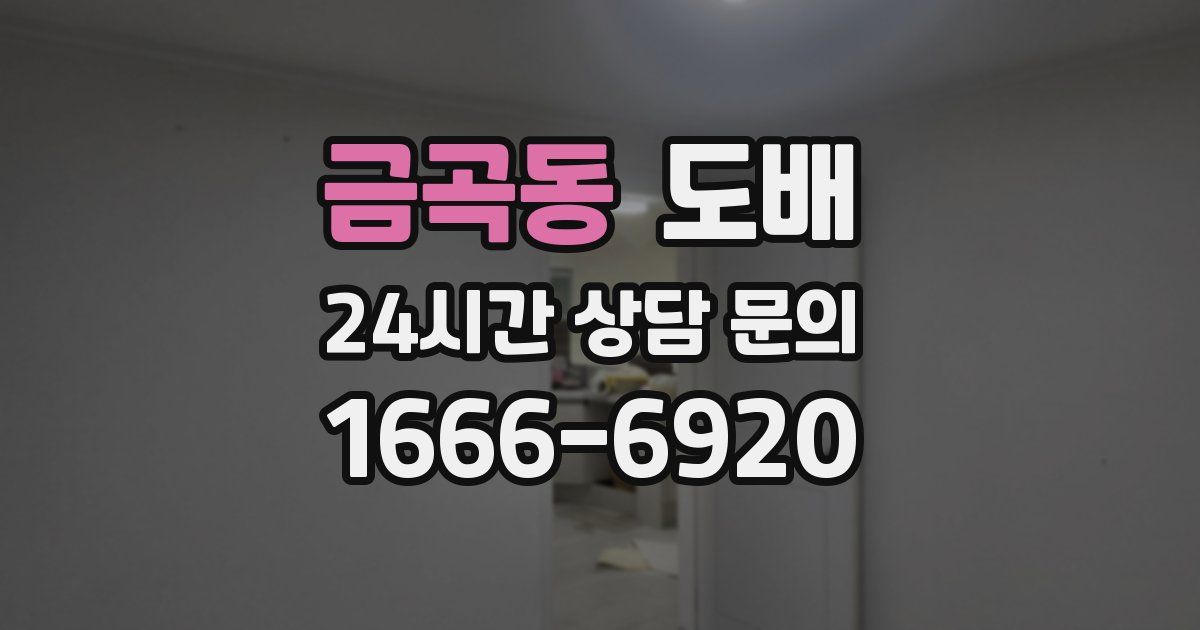 금곡동 도배