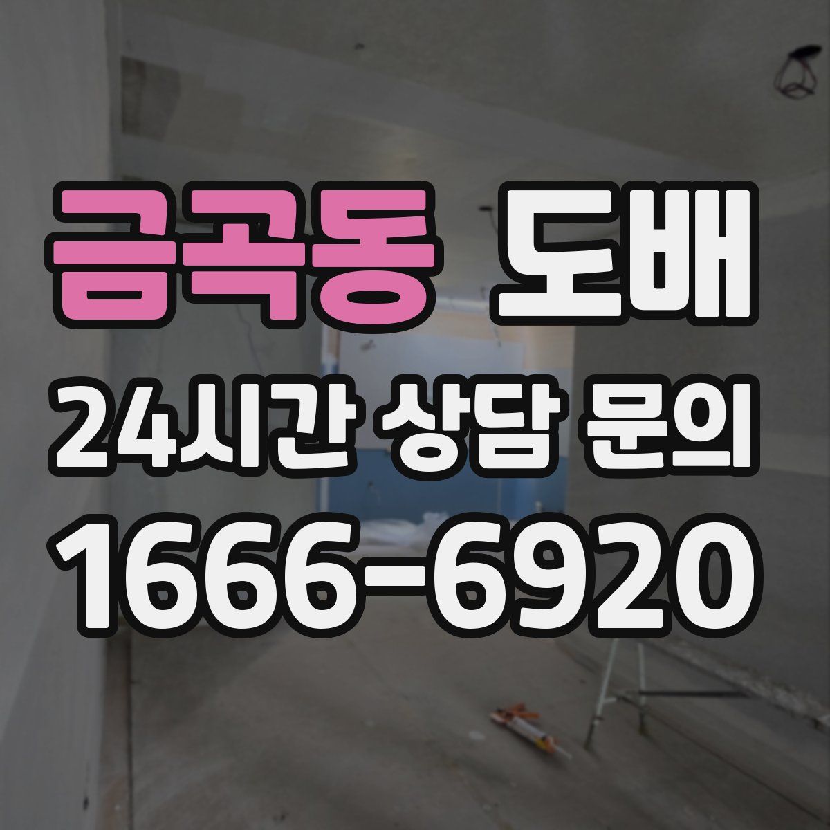 금곡동 도배