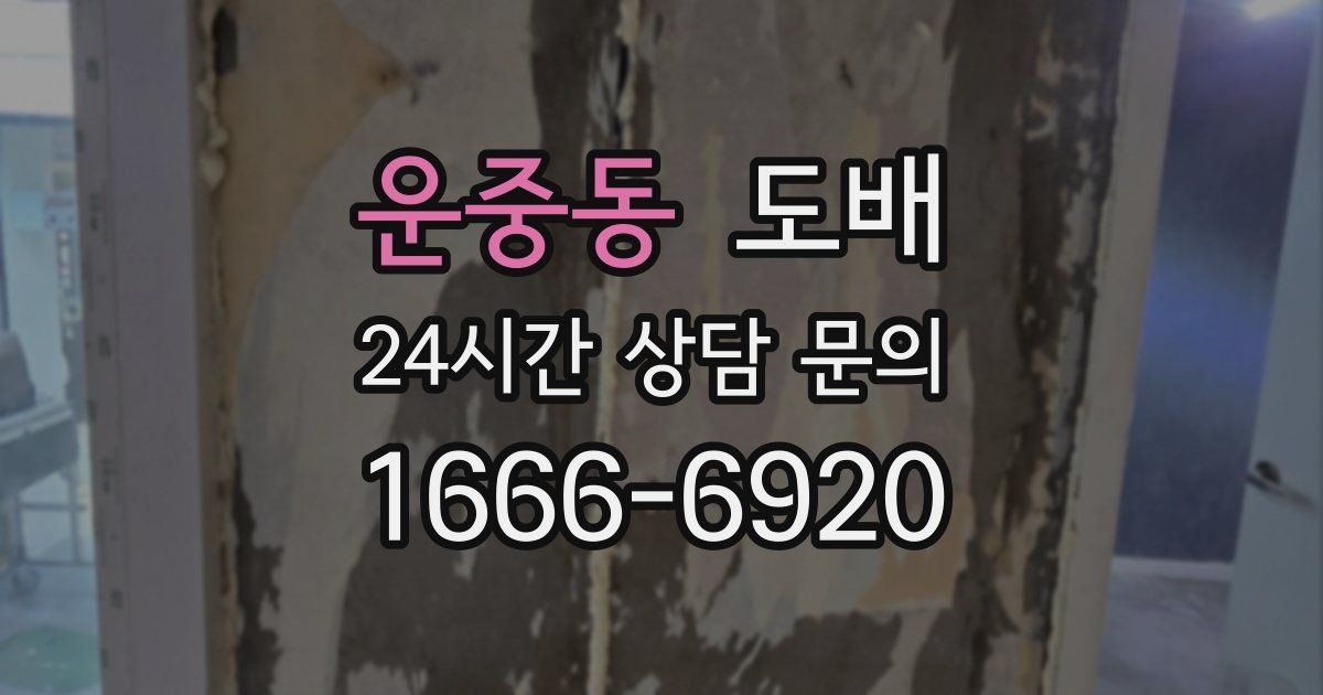 운중동 도배