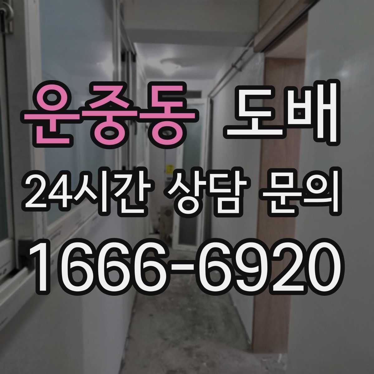 운중동 도배