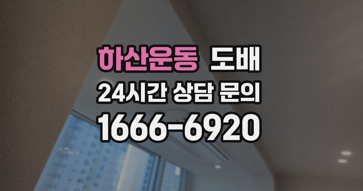 하산운동 도배